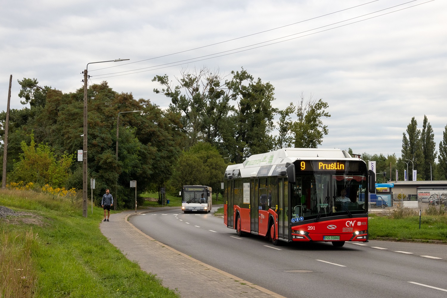 Solaris Urbino 12 electric #291