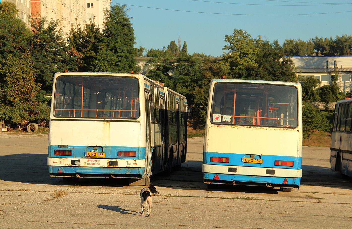 Ikarus 280.33O #118