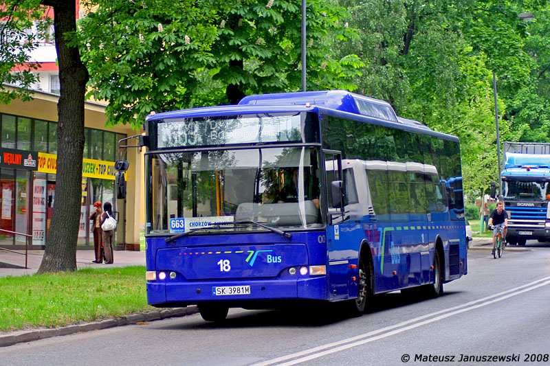 DAF SB220 GG-LF / Berkhof Viking #18