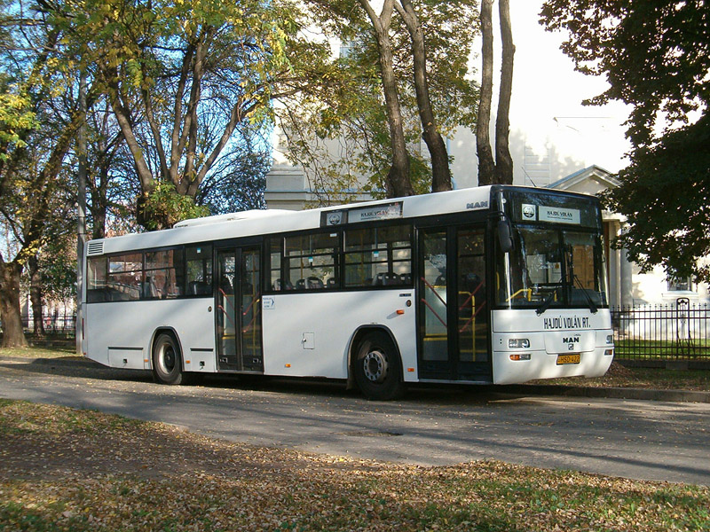 MAN SL223 #HSD-422