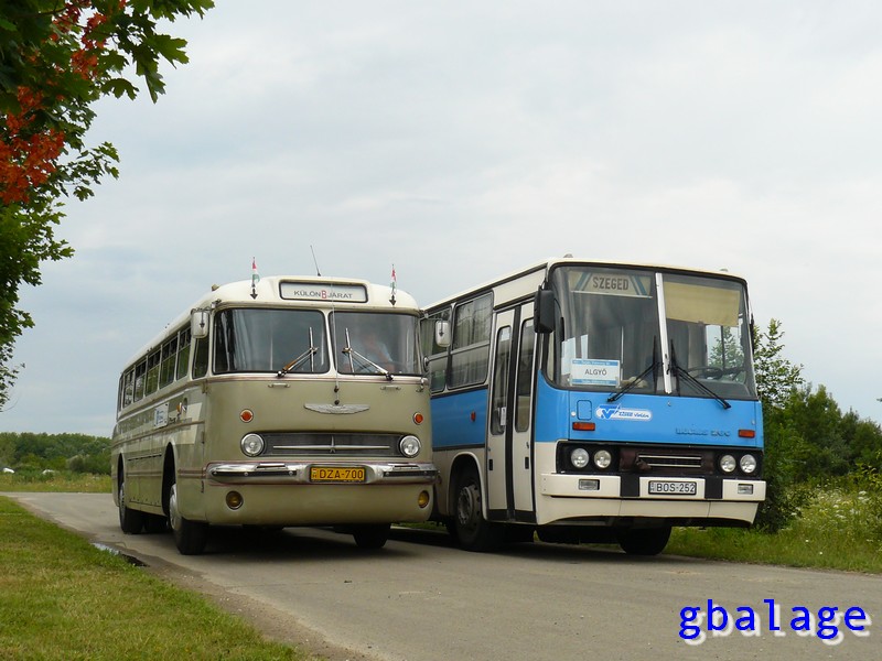 Ikarus 55.21 #DZA-700