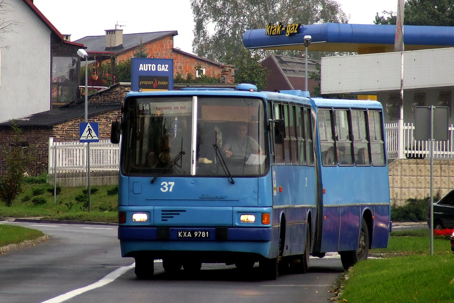 Ikarus 260.04 #37