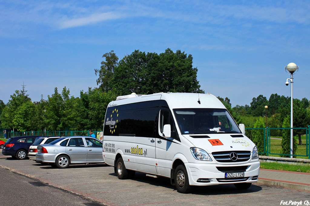 Mercedes-Benz 519 CDI #DZL LY24