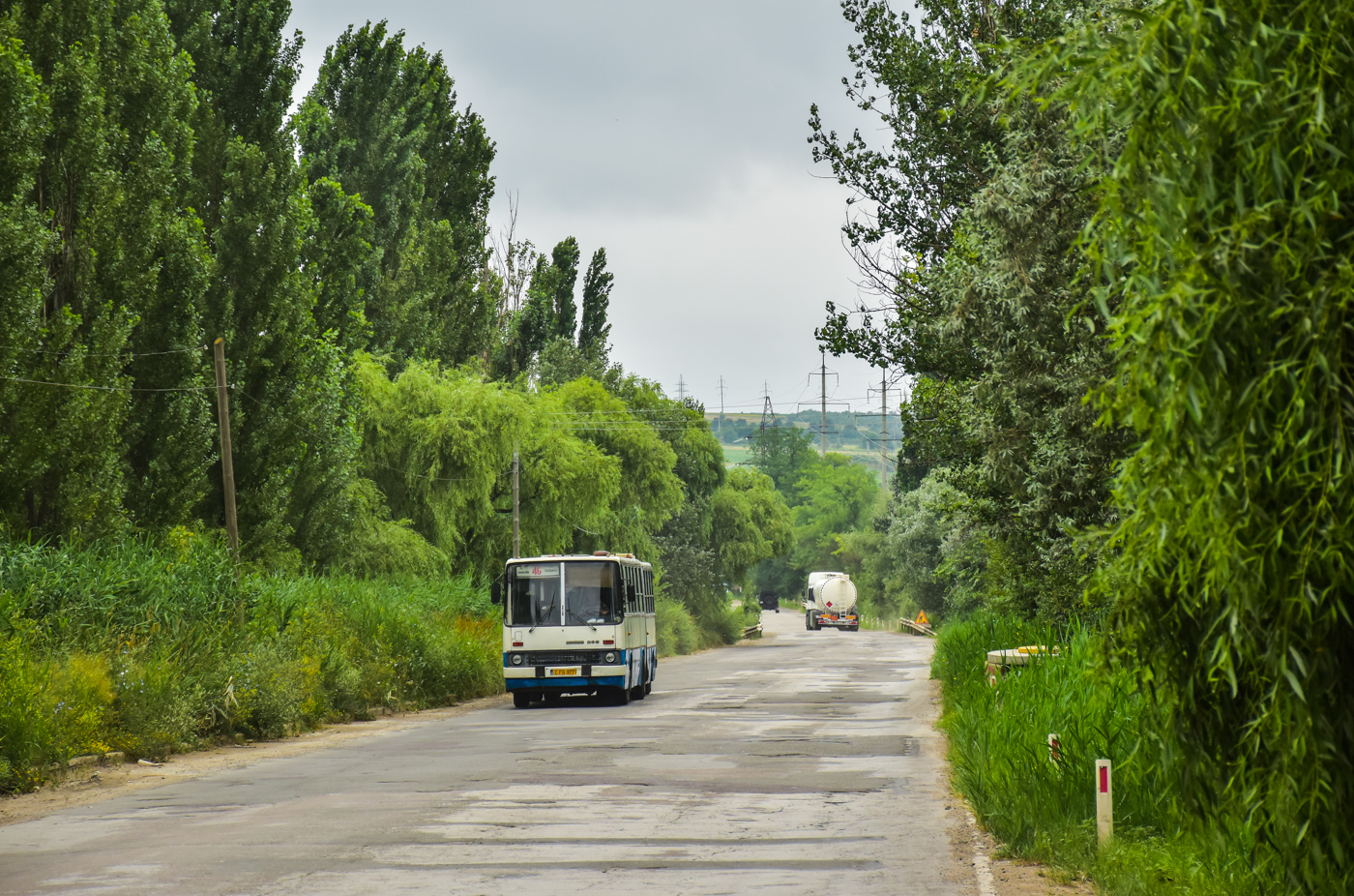 Ikarus 280.33O #113