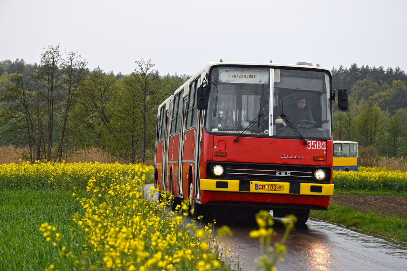 Ikarus 280.49 #3584