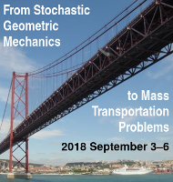 [From Stochastic Geometric Mechanics to Mass Transportation Problems · 2018 September 3-6]