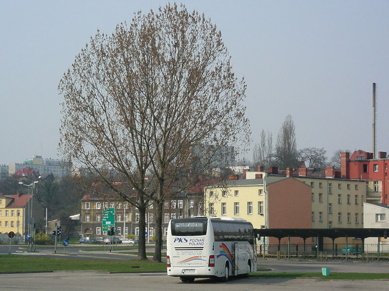 Volvo 9700 #60101