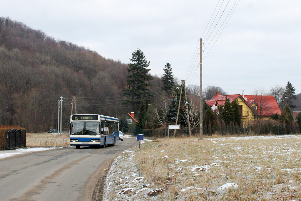 Neoplan N4016 #DDZ AG20