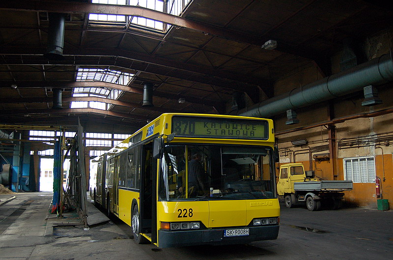 Neoplan N4021 #228