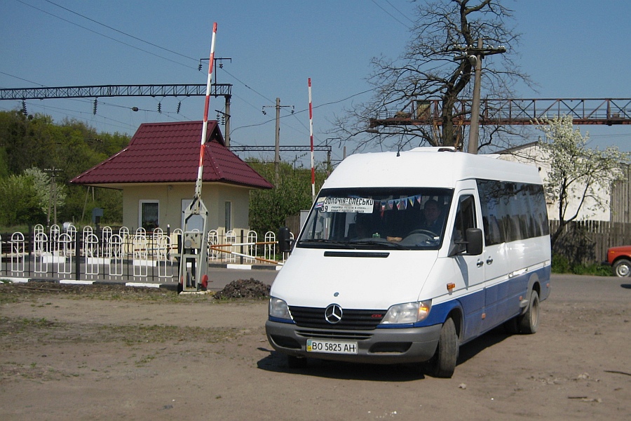 Mercedes-Benz 413 CDI #BO 5825 AH