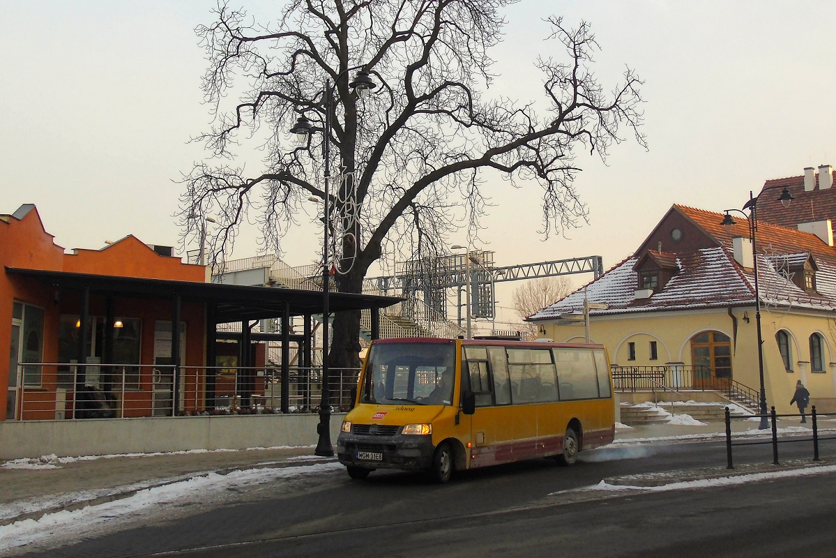 VDL Berkhof ProCity #30002