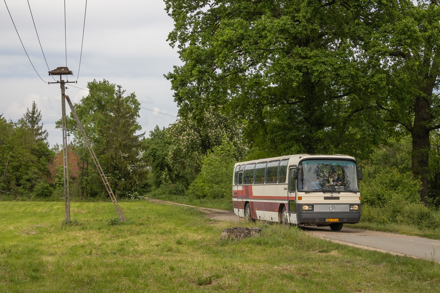 Mercedes-Benz O303-11KHP-L #NNI 17