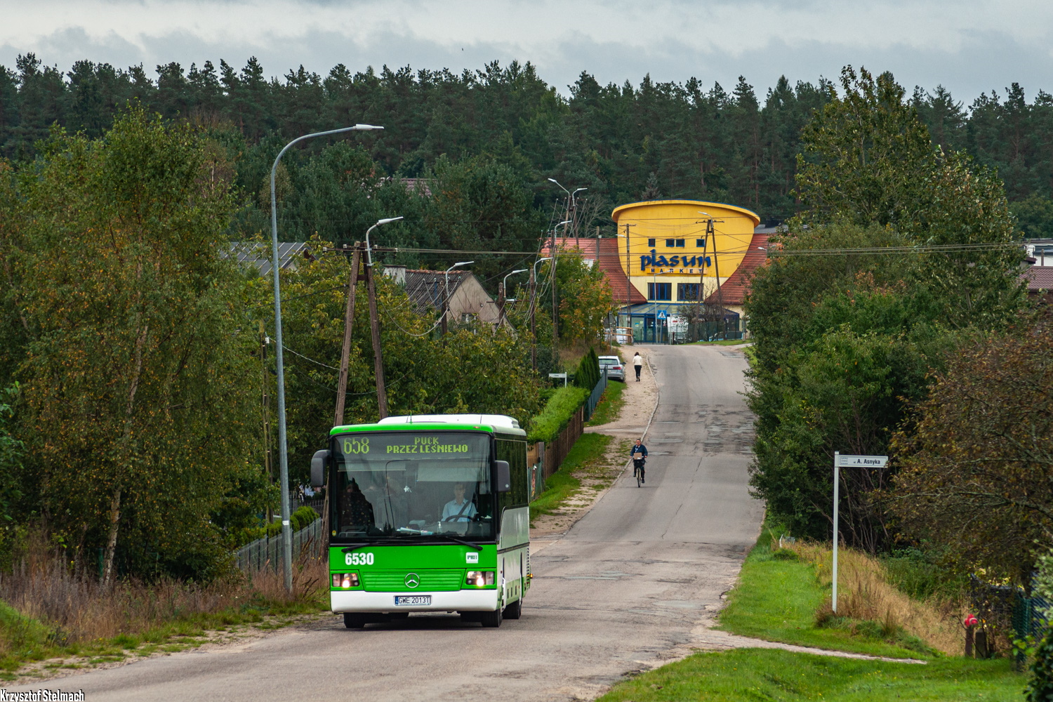 Mercedes-Benz O550 #6530