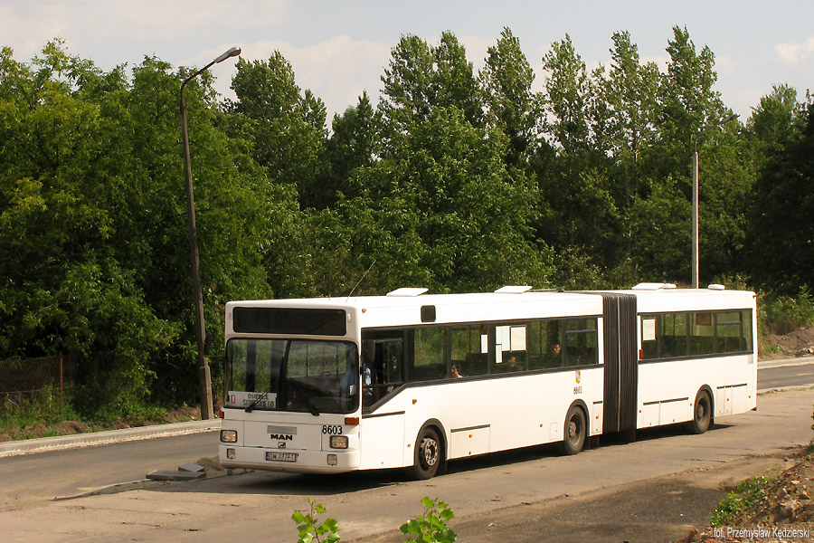 MAN SG242 #8603