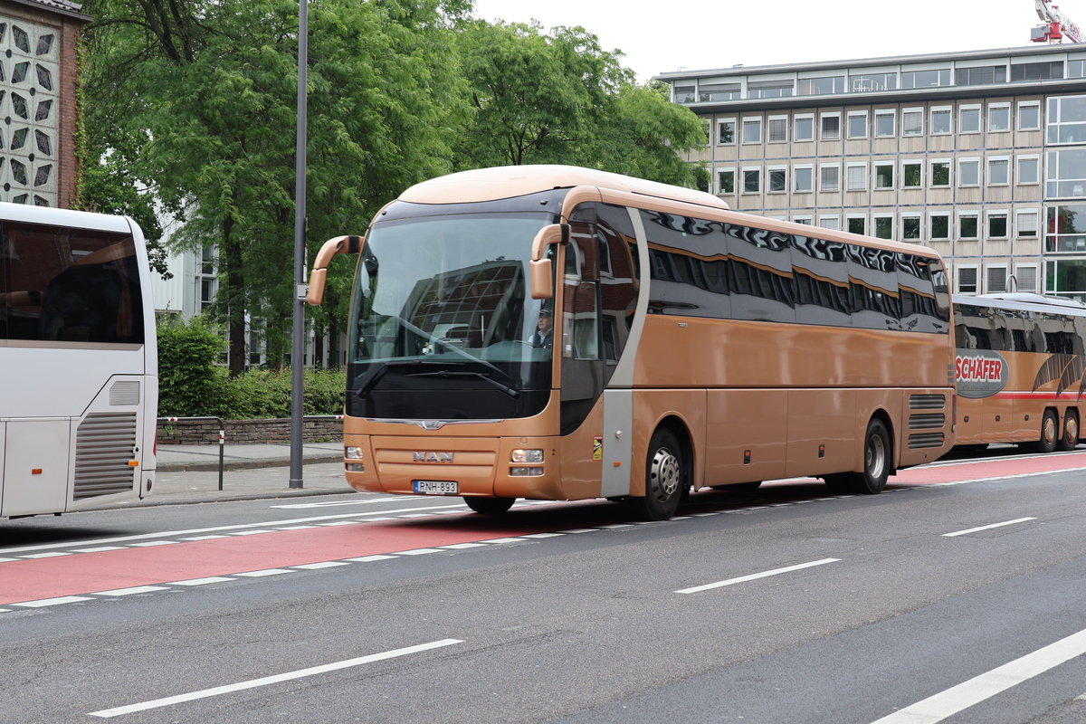 MAN RHC444 Lion`s Coach #RNH-893