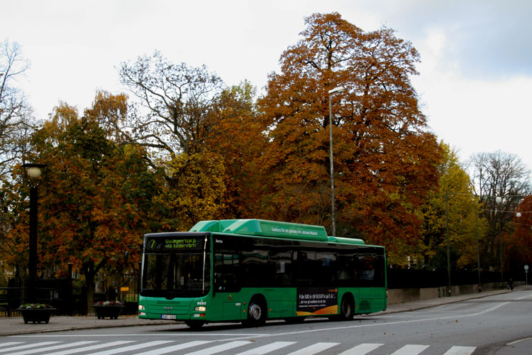 MAN NL313 Lion's City CNG #6660