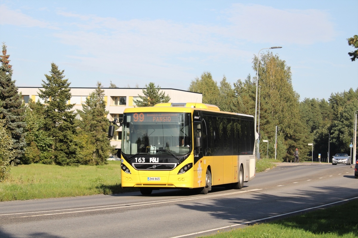 Volvo 8900LE 12,1m #163