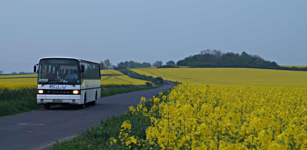 Setra S215 UL #S-20292