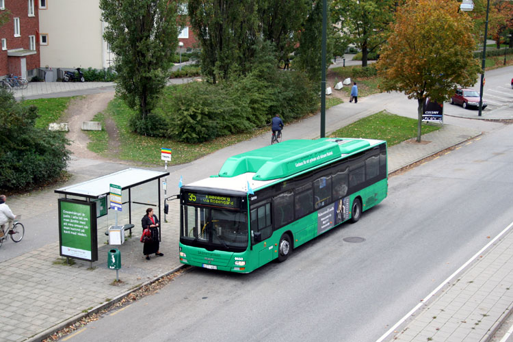 MAN NL313 Lion's City CNG #6650