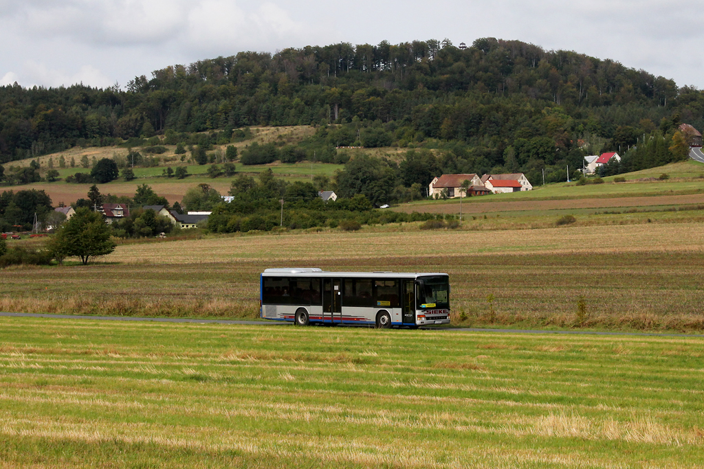 Setra S315 NF #DL 5260A