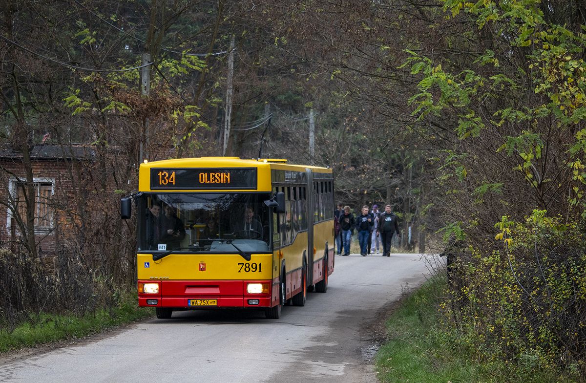 Jelcz M181M #7891