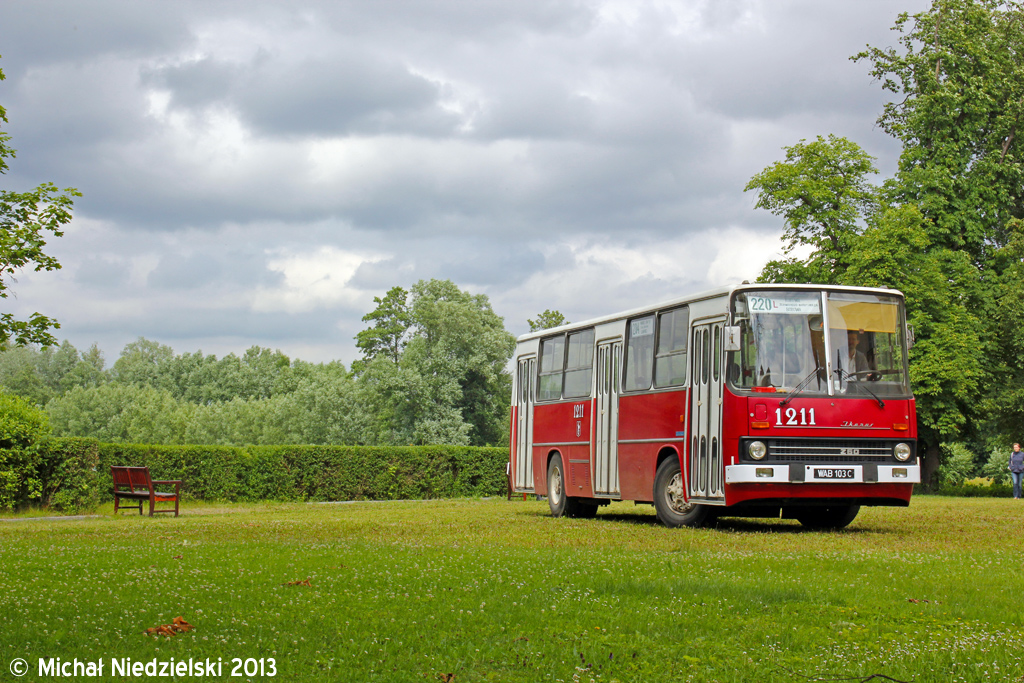 Ikarus 260.04 #289