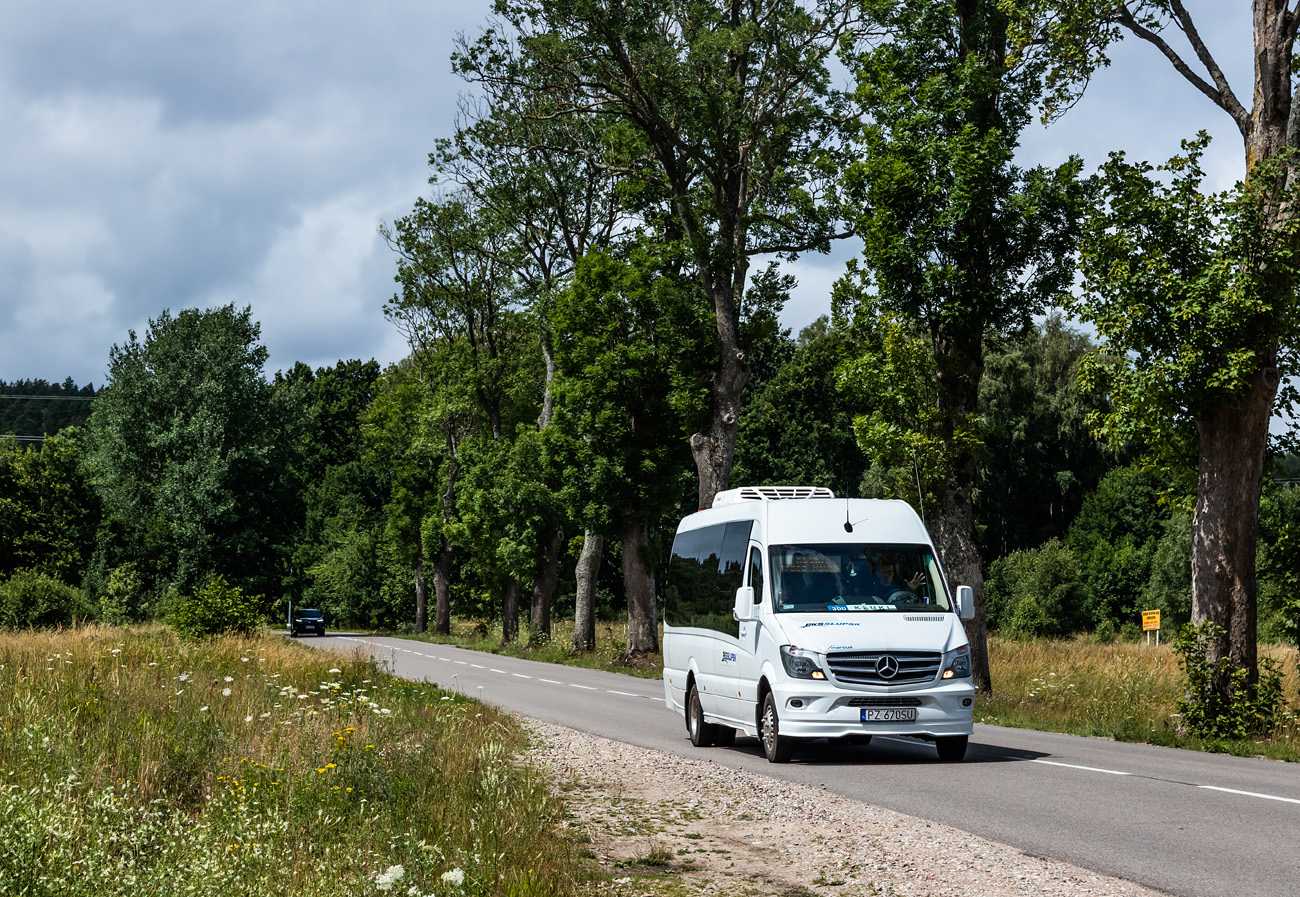 Mercedes-Benz 519 CDI / Mercus MB Sprinter #PZ 670SU