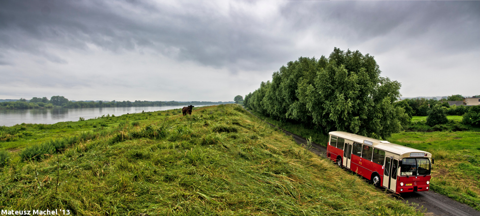 Mercedes-Benz O305 #3772