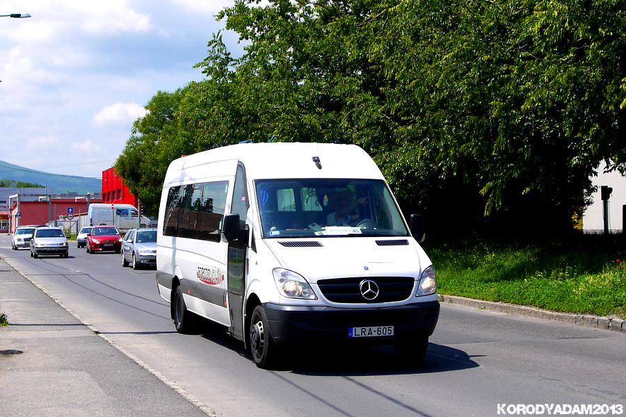 Mercedes-Benz 518 CDI / Jbus #LRA-605