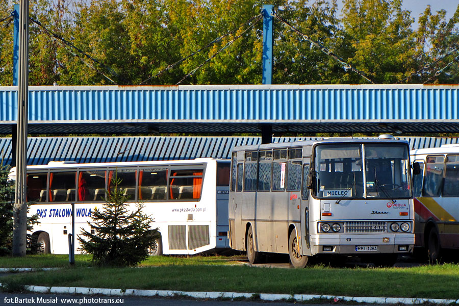 Ikarus 256.54 #80001