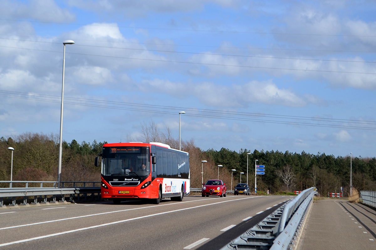 Volvo 8900LE 13,1m #7231