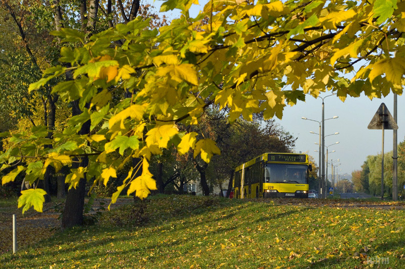 Neoplan N4021 #228