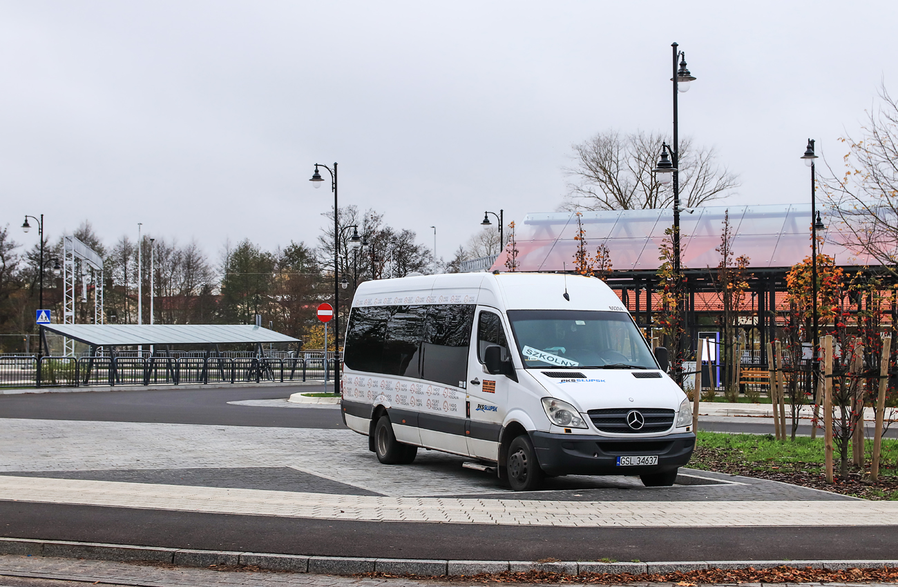 Mercedes-Benz 515 CDI Sprinter Travel 45 #60204