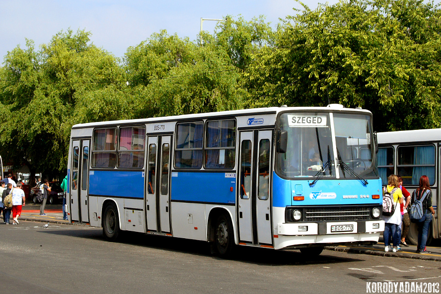 Ikarus 260.50 #BOS-770