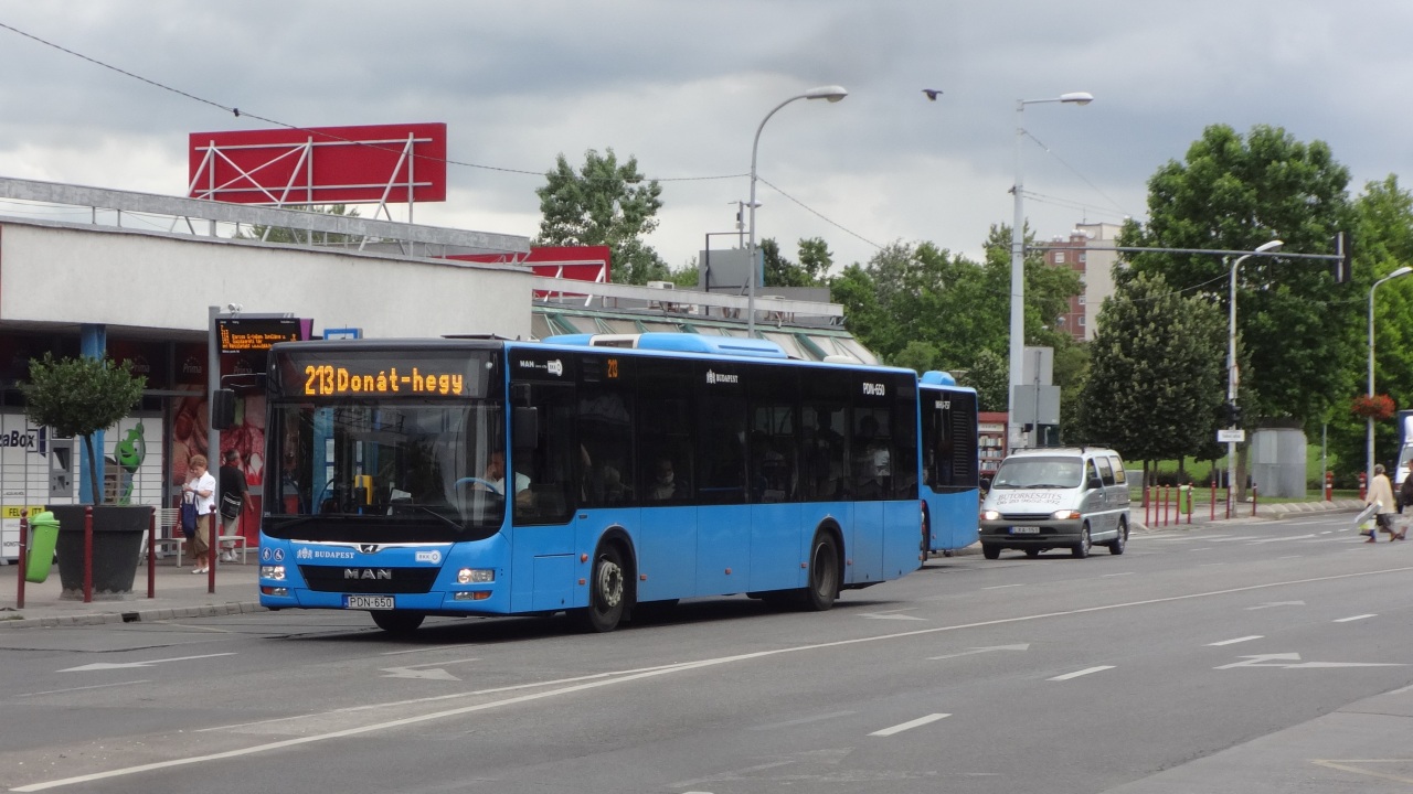 MAN NL283 Lion`s City #PDN-650