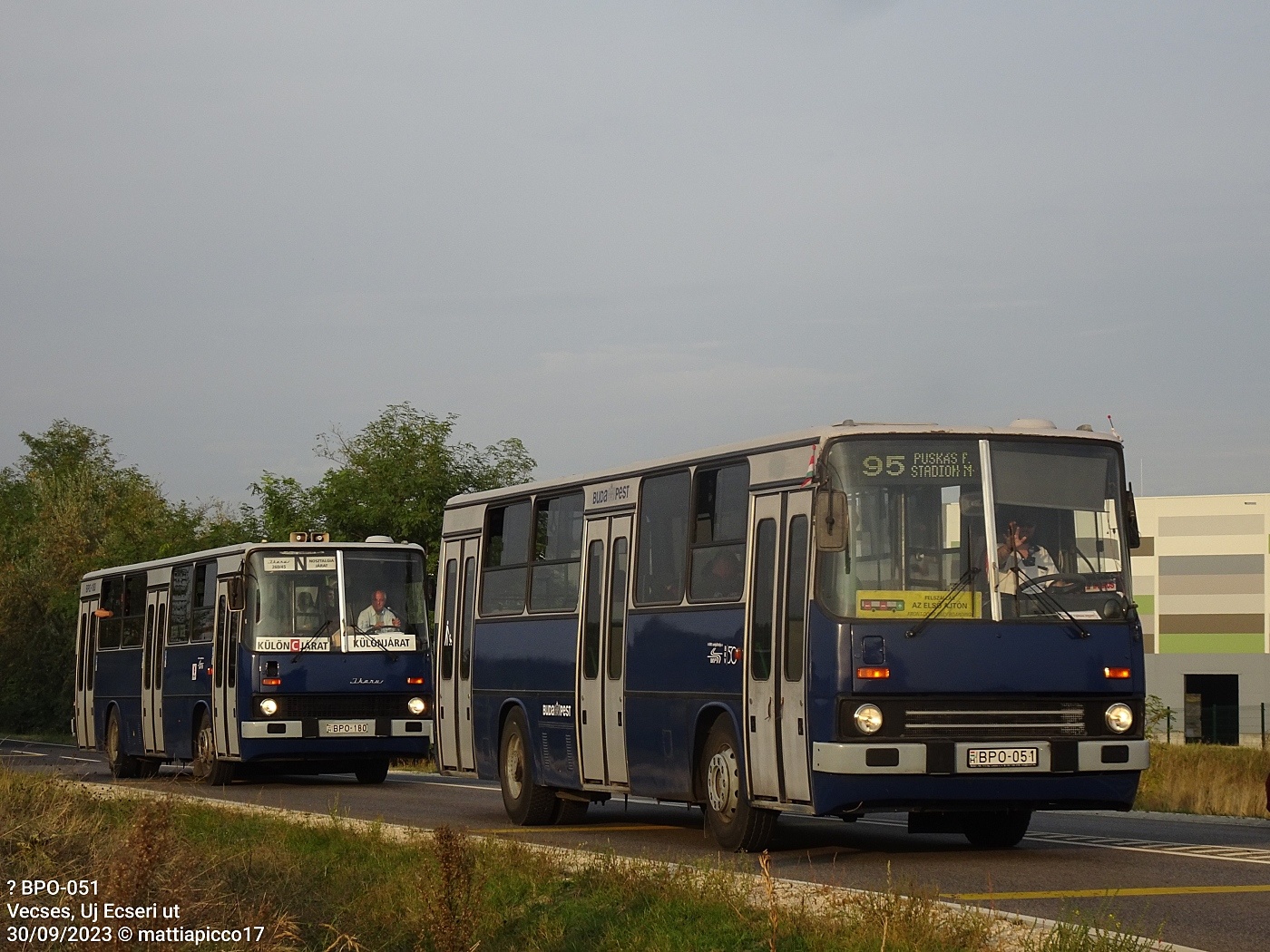 Ikarus 260.46 #BPO-051