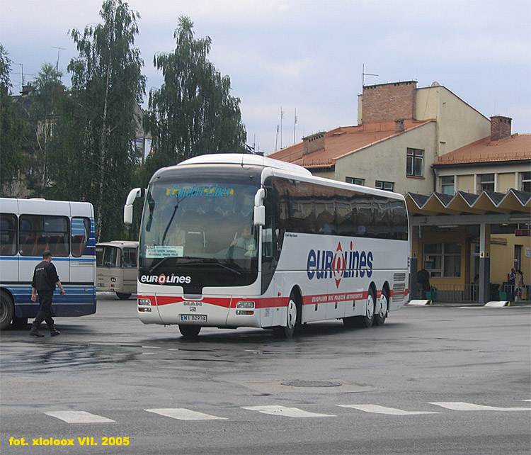 MAN RHC464 Lion`s Top Coach #WI 0293A