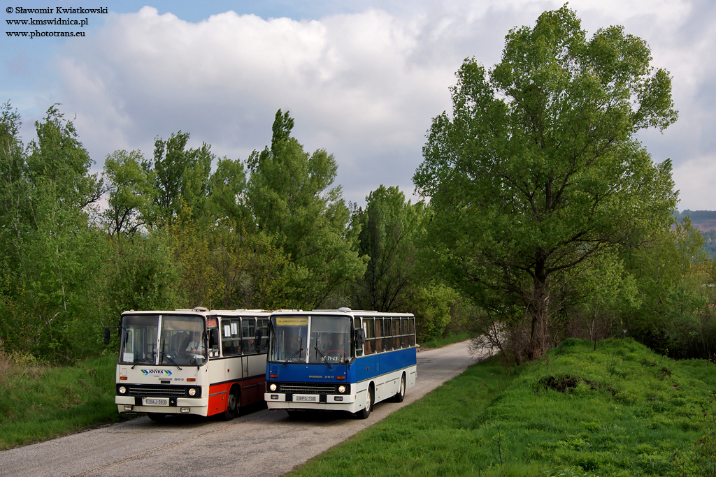 Ikarus 260.50 #BPG-700