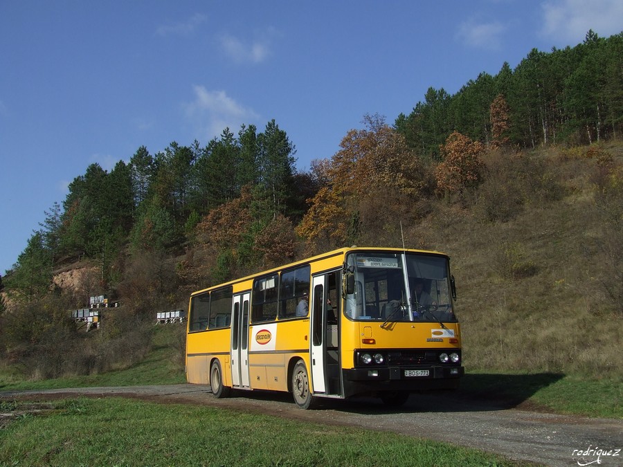 Ikarus 256.44F #BOS-773