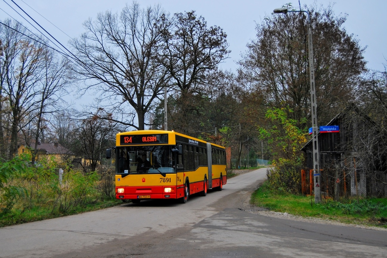 Jelcz M181M #7891