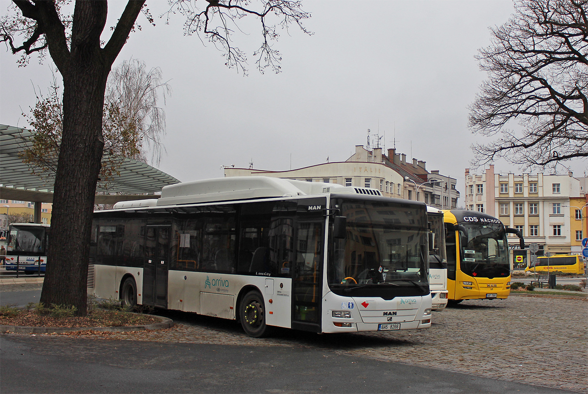 MAN NÜ313 CNG Lion`s City Ü #6H5 8266