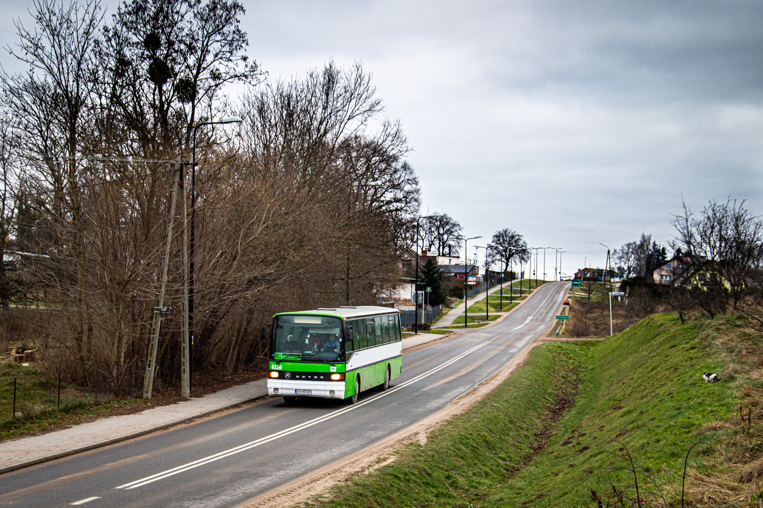 Setra S215 UL #6550