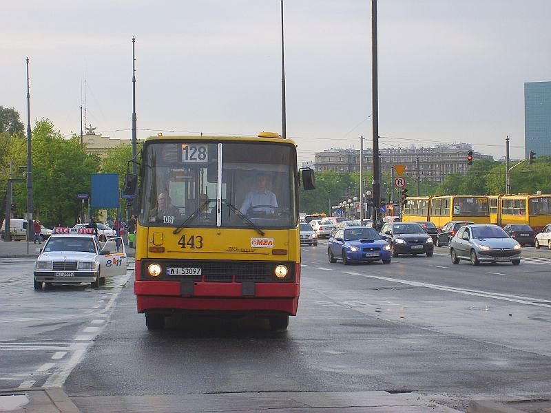 Ikarus 260.04 #443