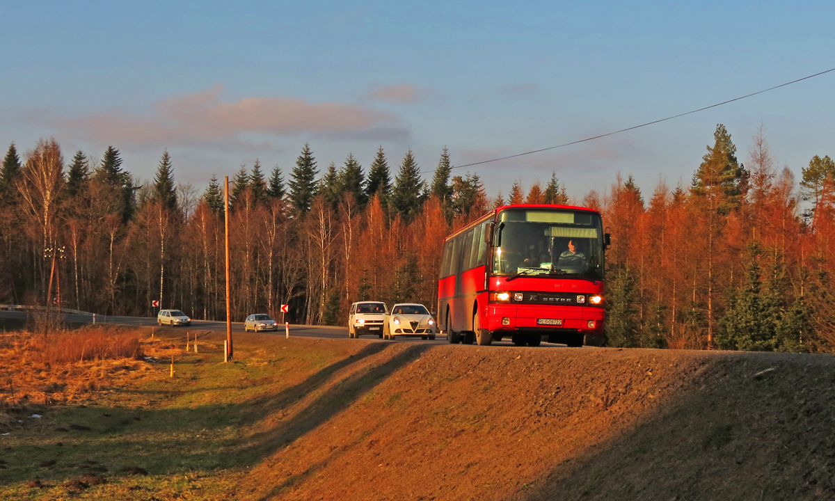 Setra S215 UL #RLS 08722