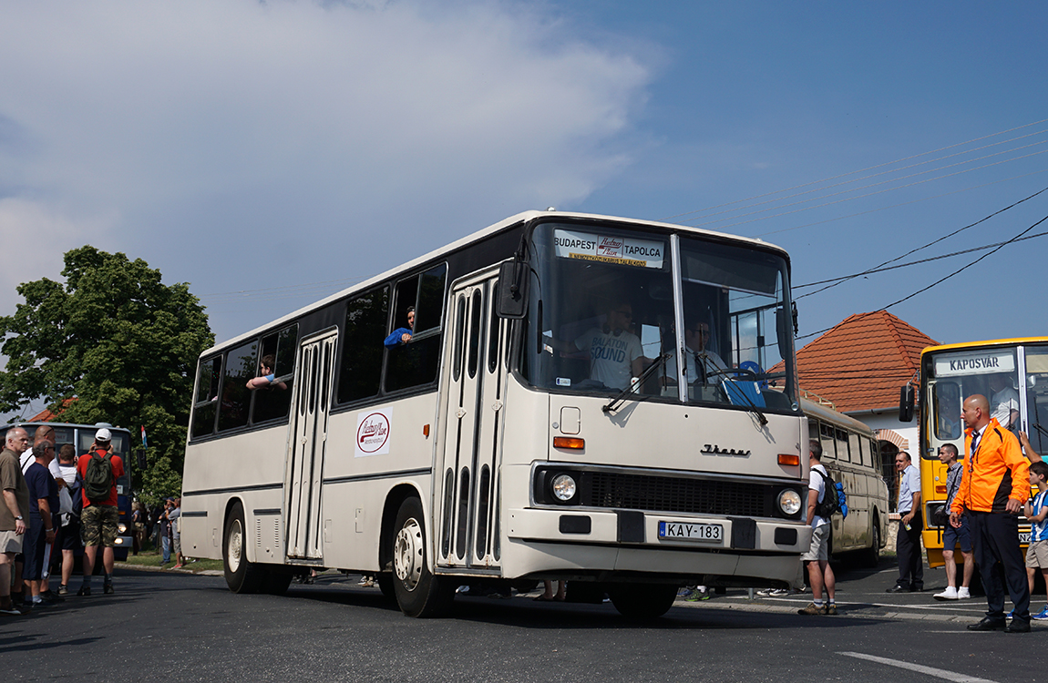 Ikarus 260.43 #KAY-183