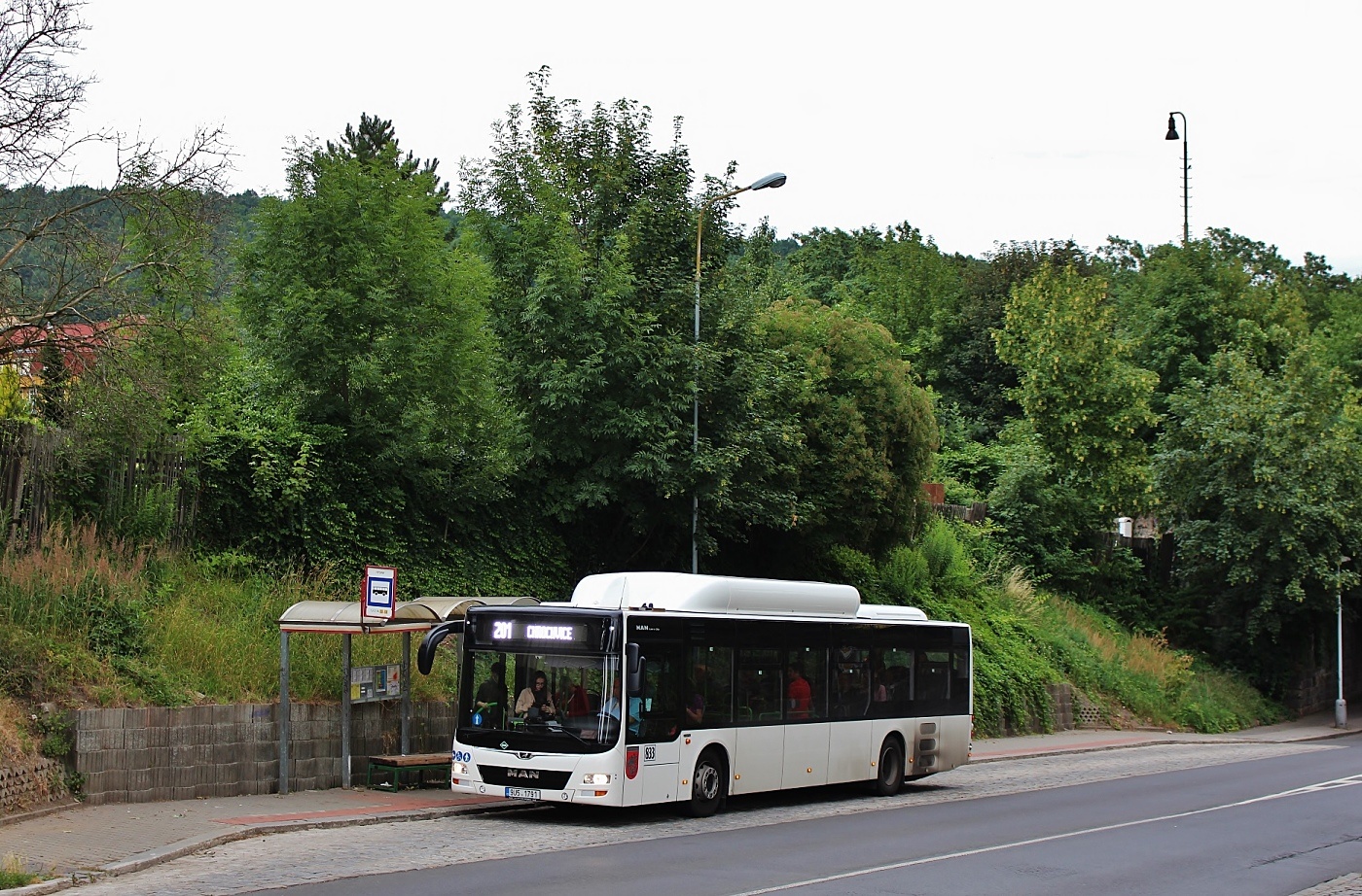 MAN NL273 Lion`s City CNG #833