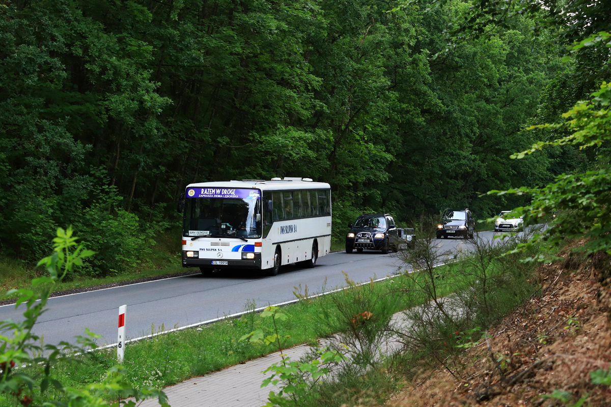 Mercedes-Benz O408 #40002