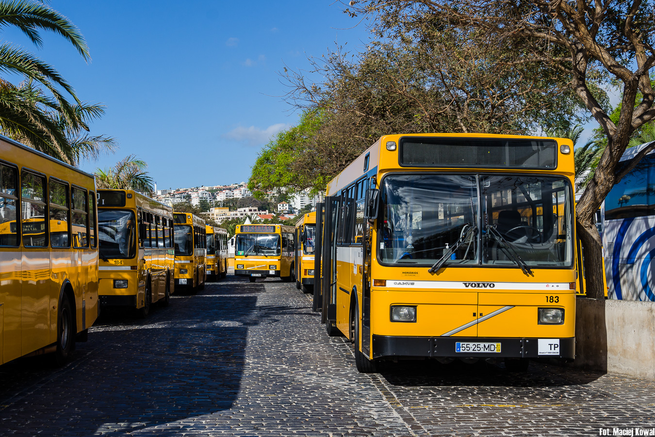 Volvo B9M / Camo Camus 2.3 #183