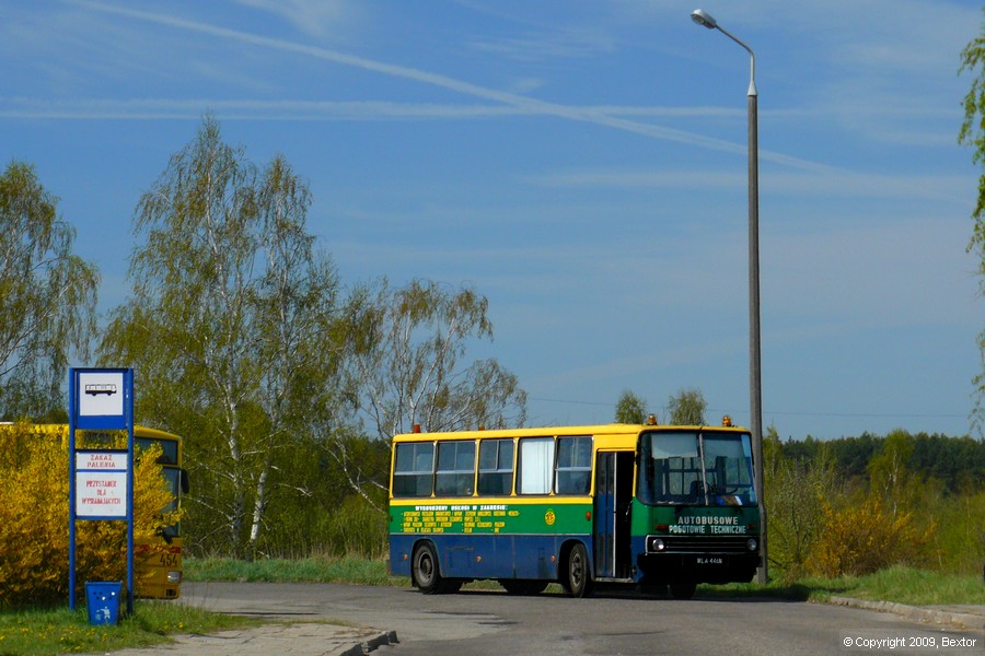 Ikarus 280.11 #15