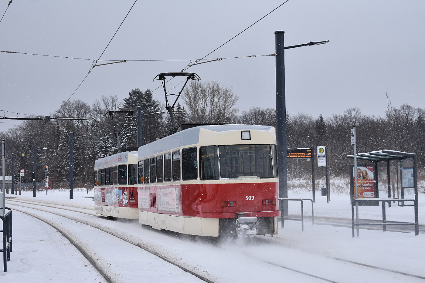 Tatra T3D #509